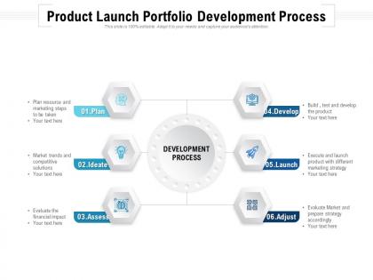 Product launch portfolio development process