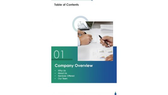 Product Launch Program Table Of Contents Team One Pager Sample Example Document