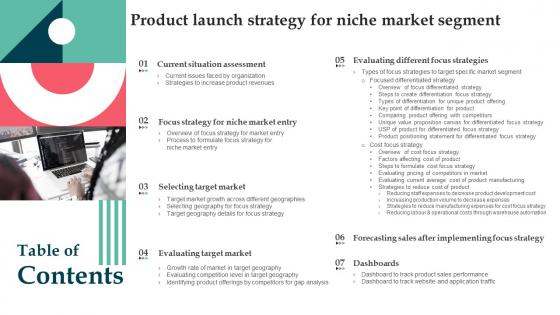 Product Launch Strategy For Niche Market Segment Table Of Contents
