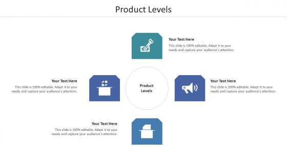 Product Levels Ppt Powerpoint Presentation File Icons Cpb