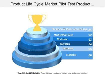 Product life cycle market pilot test product development