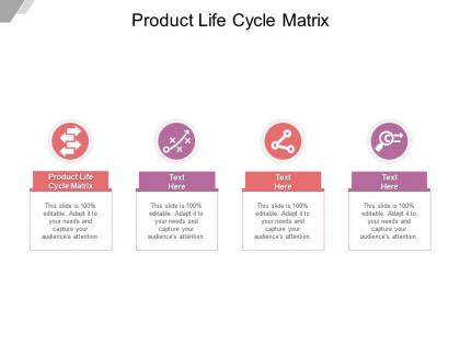 Product life cycle matrix ppt powerpoint presentation infographic example cpb