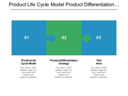 Product life cycle model product differentiation strategy globalization strategy cpb