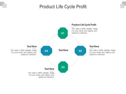 Product life cycle profit ppt powerpoint presentation infographics show cpb