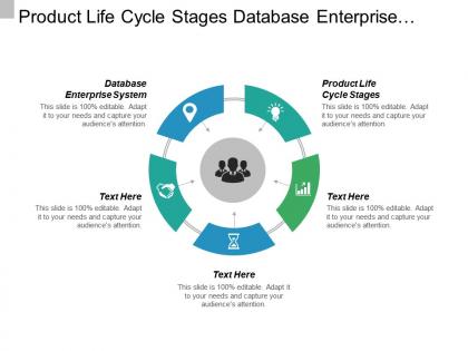 Product life cycle stages database enterprise system social business cpb