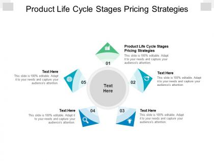 Product life cycle stages pricing strategies ppt powerpoint presentation layouts backgrounds cpb