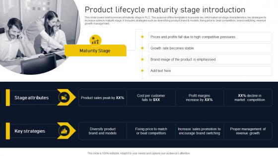 Product Lifecycle Maturity Stage Introduction Product Lifecycle Phases Implementation