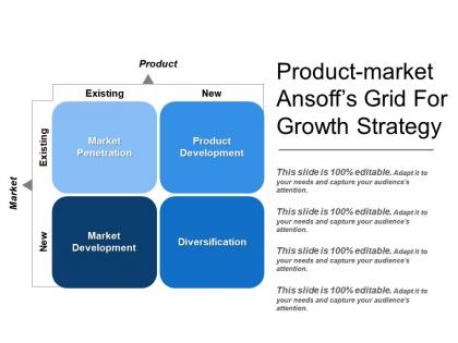 Product market ansoffs grid for growth strategy