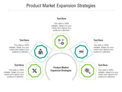 Product market expansion strategies ppt powerpoint presentation model styles cpb
