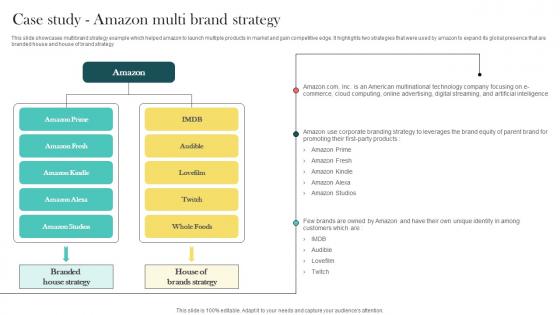 Product Marketing And Positioning Strategy Case Study Amazon Multi Brand Strategy MKT SS V