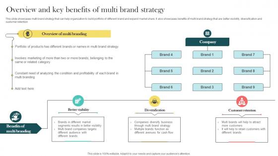 Product Marketing And Positioning Strategy Overview And Key Benefits Of Multi Brand Strategy MKT SS V