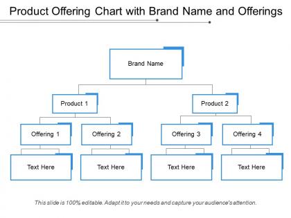 Product offering chart with brand name and offerings