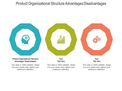 Product organizational structure advantages disadvantages ppt powerpoint presentation icon graphic images cpb