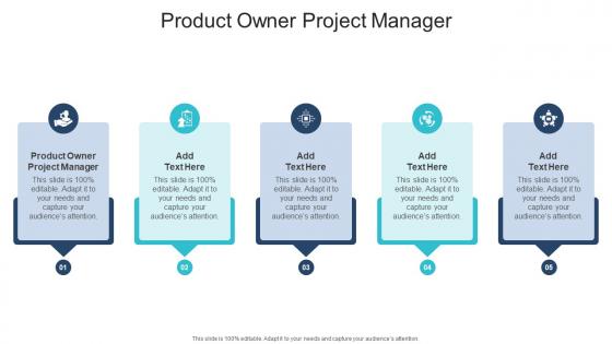 Product Owner Project Manager In Powerpoint And Google Slides Cpb