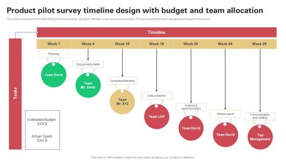 Product Pilot Survey Timeline Design With Budget And Team Allocation