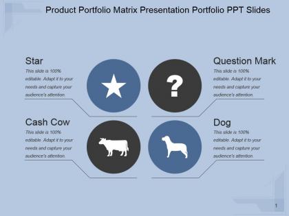 Product portfolio matrix presentation portfolio ppt slides