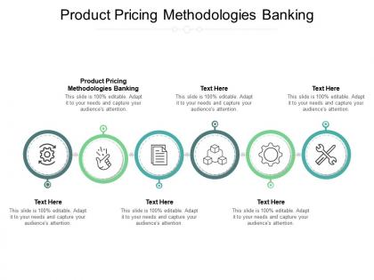 Product pricing methodologies banking ppt powerpoint presentation slides graphics template cpb