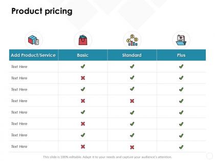 Product pricing plus standard ppt powerpoint presentation professional format ideas
