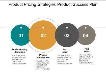 Product pricing strategies product success plan management surveys cpb
