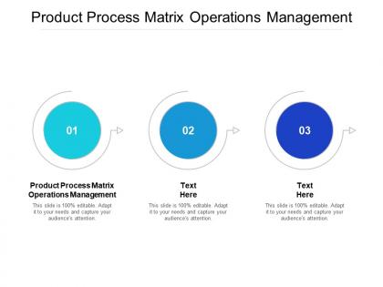 Product process matrix operations management ppt powerpoint presentation show designs cpb