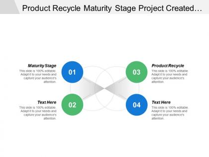 Product recycle maturity stage project created conduct meeting