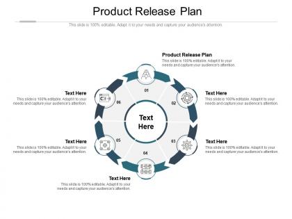 Product release plan ppt powerpoint presentation graphics cpb