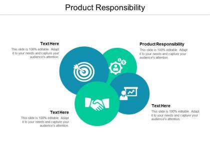 Product responsibility ppt powerpoint presentation model designs download cpb
