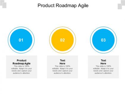 Product roadmap agile ppt powerpoint presentation ideas slide cpb