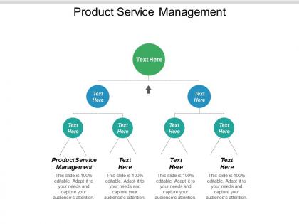 Product service management ppt powerpoint presentation portfolio elements cpb