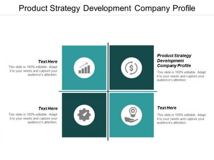 Product strategy development company profile ppt powerpoint presentation layouts smartart cpb