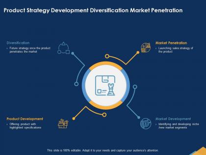 Product strategy development diversification market penetration niche ppt powerpoint presentation file icon