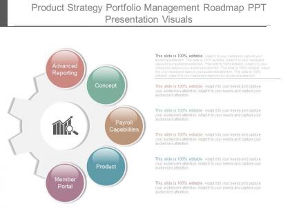 Product strategy portfolio management roadmap ppt presentation visuals