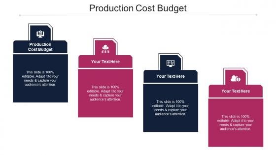 Production Cost Budget Ppt Powerpoint Presentation Outline Summary Cpb