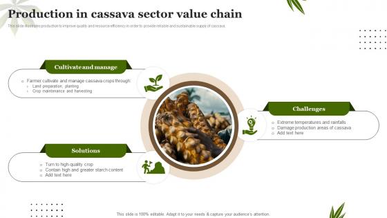 Production In Cassava Sector Value Chain