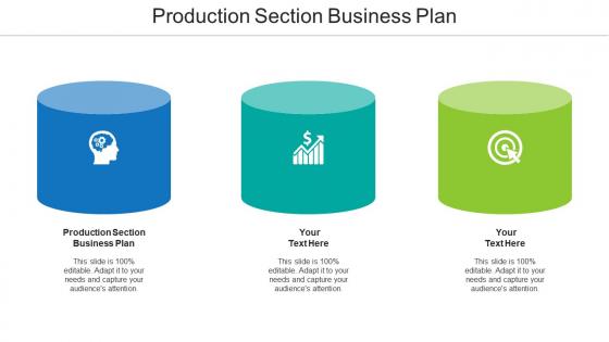 Production section business plan ppt powerpoint presentation icon demonstration cpb