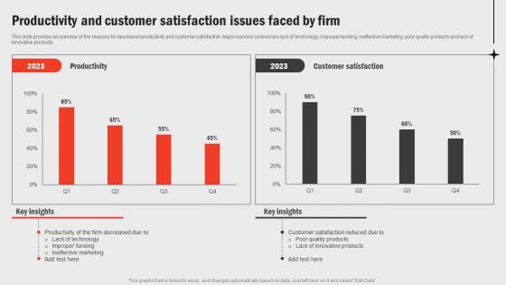 Productivity And Customer Satisfaction Issues Faced Business Functions Improvement Strategy SS V
