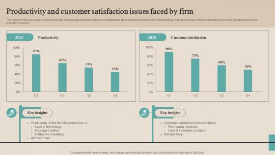 Productivity And Customer Satisfaction Issues Optimizing Functional Level Strategy SS V