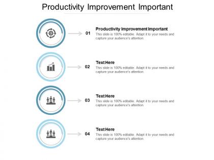 Productivity improvement important ppt powerpoint presentation professional cpb