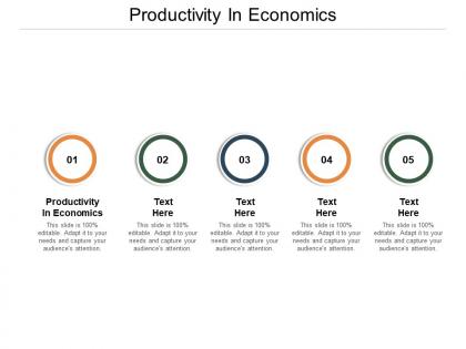 Productivity in economics ppt powerpoint presentation layouts images cpb