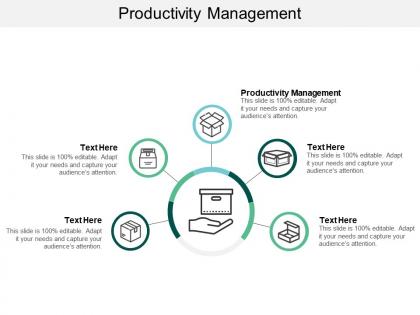 Productivity management ppt powerpoint presentation portfolio deck cpb