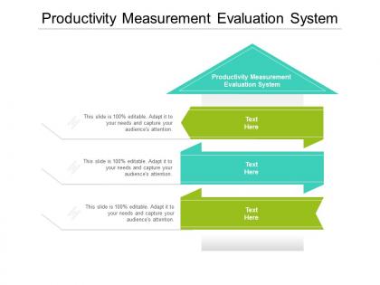 Productivity measurement evaluation system ppt powerpoint presentation outline maker cpb