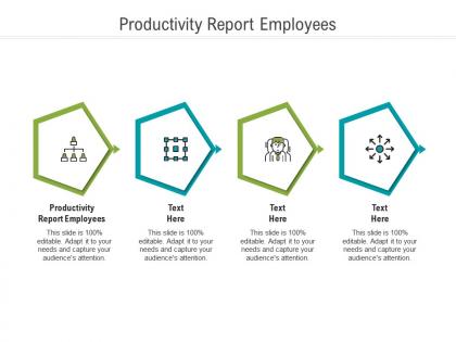 Productivity report employees ppt powerpoint presentation gallery visuals cpb