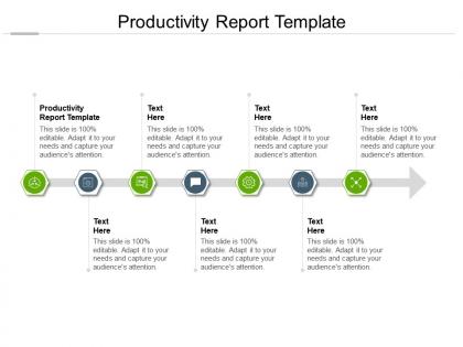 Productivity report template ppt powerpoint presentation outline shapes cpb