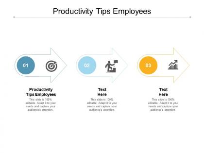 Productivity tips employees ppt powerpoint presentation pictures good cpb