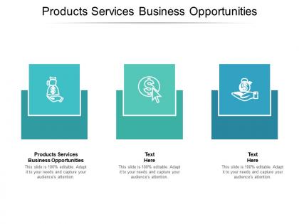 Products services business opportunities ppt powerpoint presentation file microsoft cpb