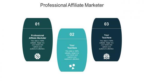 Professional affiliate marketer ppt powerpoint presentation slides format cpb