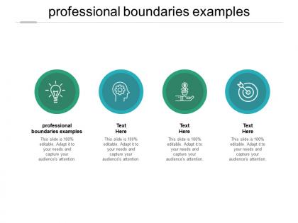 Professional boundaries examples ppt powerpoint presentation pictures visual aids cpb