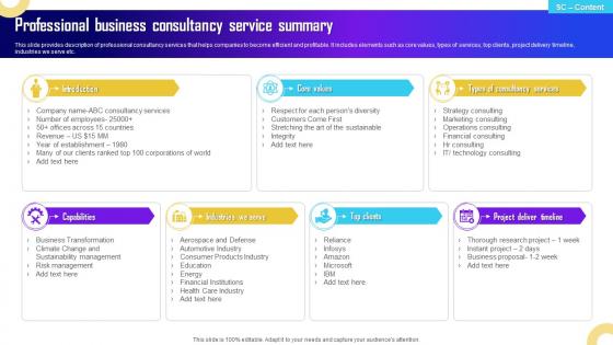 Professional Business Consultancy Service Summary