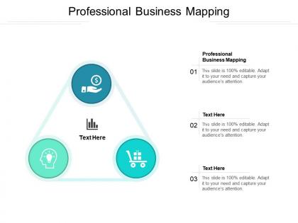 Professional business mapping ppt powerpoint presentation styles good cpb