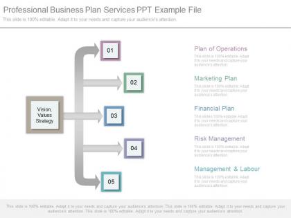 Professional business plan services ppt example file